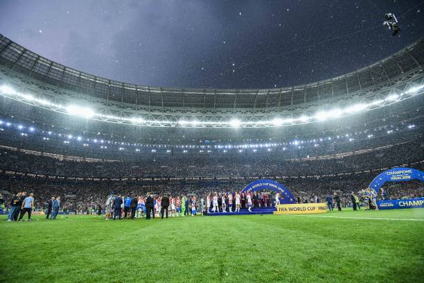 了保护它们 了保护它们